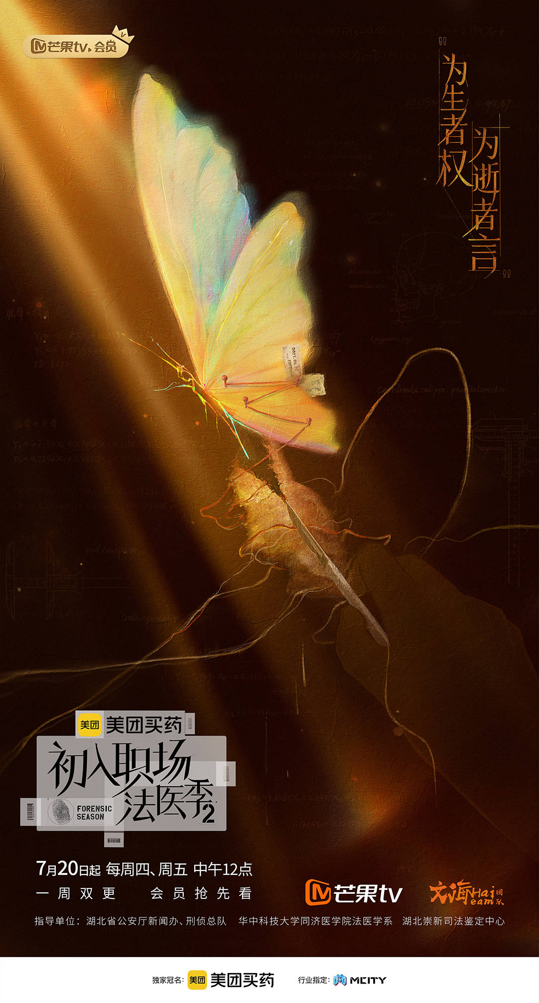 初入职场&middot;法医季2