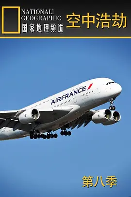 空中浩劫第八季