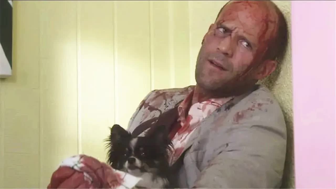 硬汉复仇时受伤，躲进性感小姐家中，狗狗的举动救了他一命！