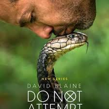 大卫&middot;布雷恩：请勿尝试