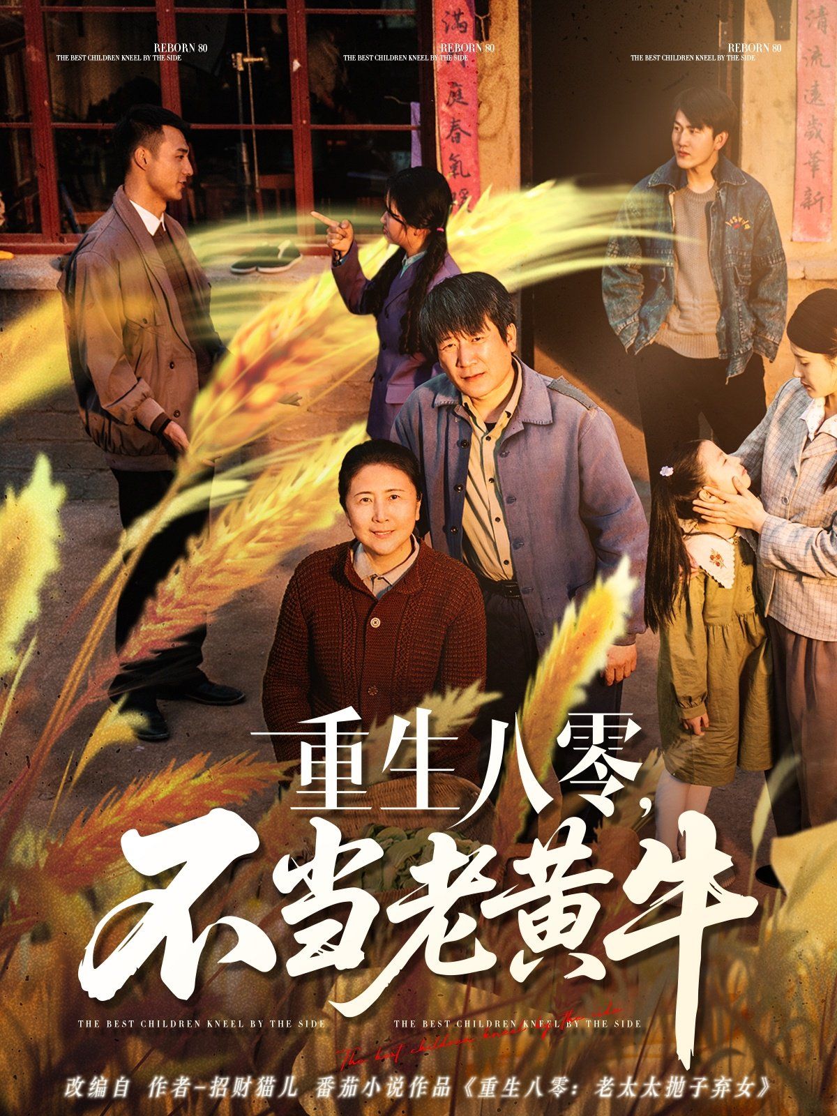 重生八零不当老黄牛